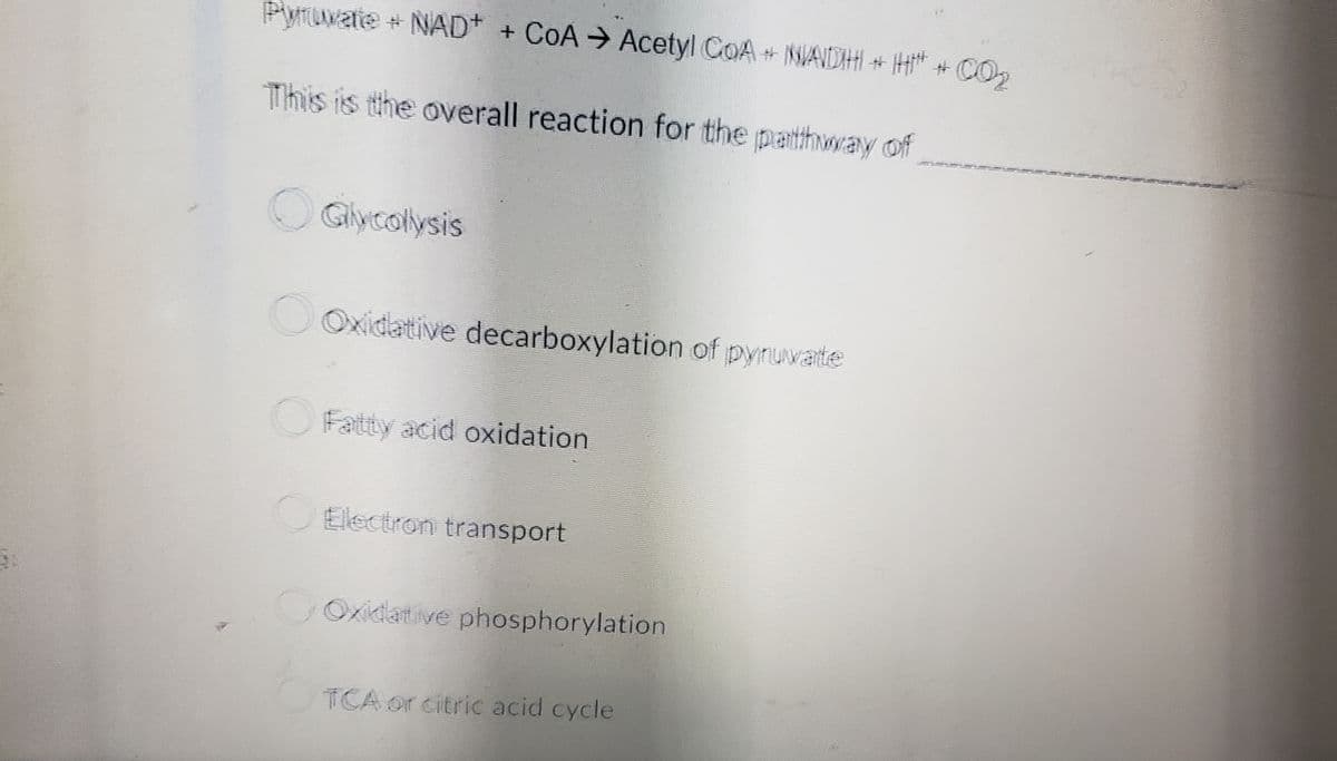 Pyruvate + NAD+ + CoA → Acetyl COA NAIDHI + H + CO₂
This is the overall reaction for the pathway of
Glycolysis
Oxidative decarboxylation of pyruvate
Fatty acid oxidation
Ellectron transport
Oxidative phosphorylation
TCA or citric acid cycle