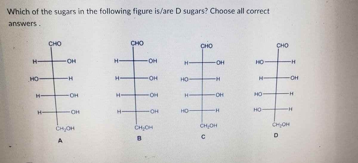 Which of the sugars in the following figure is/are D sugars? Choose all correct
answers.
CHO
CHO
CHO
CHO
HO
H-
HO
Н
H-
ОН
Н
ОН
OH
CH₂OH
A
Н
H
ОН
ОН
ОН
OH
CH₂OH
В
Н
но
НО
ОН
-Н
OH
CH₂OH
С
НО
НО
H
OH
Н
H
CH₂OH
D