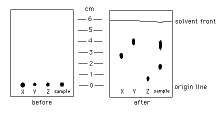 X Y Z sample
before
cm
6
-5-
4
3-
X Y Z sample
after
solvent front
origin line