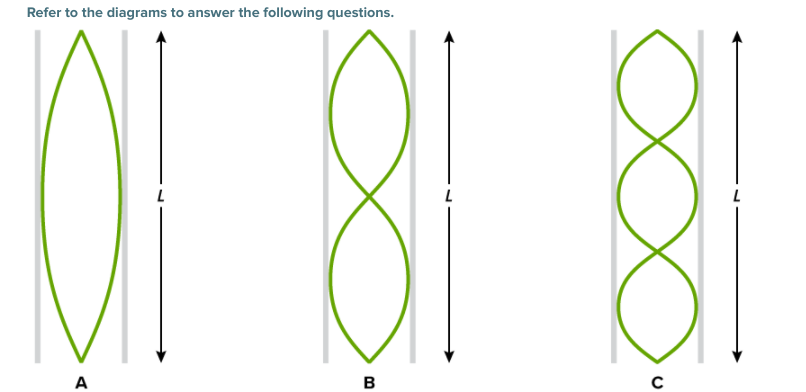 Refer to the diagrams to answer the following questions.
A
B
