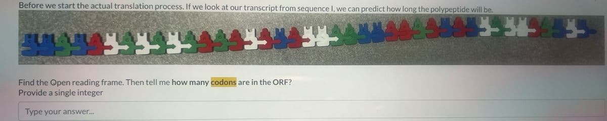 Before we start the actual translation process. If we look at our transcript from sequence I, we can predict how long the polypeptide will be.
58650545454544335
Find the Open reading frame. Then tell me how many codons are in the ORF?
Provide a single integer
Type your answer...
13.349545
