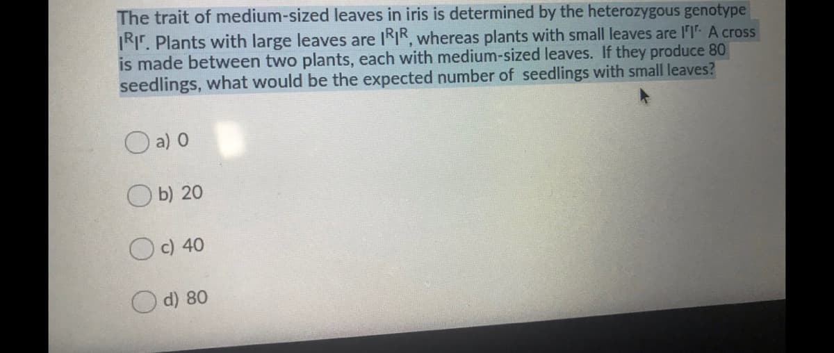 The trait of medium-sized leaves in iris is determined by the heterozygous genotype
TRir. Plants with large leaves are IRIR, whereas plants with small leaves are l'I A cross
is made between two plants, each with medium-sized leaves. If they produce 80
seedlings, what would be the expected number of seedlings with small leaves?
O a) 0
O b) 20
Oc) 40
d) 80
