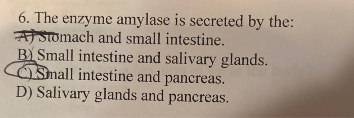 6. The enzyme amylase is secreted by the:
AStomach and small intestine.
B) Small intestine and salivary glands.
Small intestine and pancreas.
D) Salivary glands and pancreas.