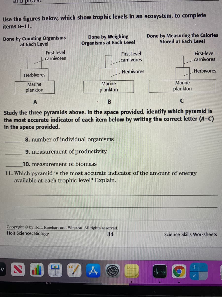 and
Use the figures below, which show trophic levels in an ecosystem, to complete
items 8-11.
Done by Counting Organisms
at Each Level
Done by Weighing
Organisms at Each Level
Done by Measuring the Calories
Stored at Each Level
First-level
First-level
First-level
carnivores
carnivores
carnivores
Herbivores
Herbivores
Herbivores
Marine
Marine
plankton
Marine
plankton
plankton
C
Study the three pyramids above. In the space provided, identify which pyramid is
the most accurate indicator of each item below by writing the correct letter (A-C)
in the space provided.
8. number of individual organisms
9. measurement of productivity
10. measurement of biomass
11. Which pyramid is the most accurate indicator of the amount of energy
available at each trophic level? Explain.
Copyright by Holt, Rinehart and Winston. All rights reserved.
Holt Science: Biology
34
Science Skills Worksheets
EV
