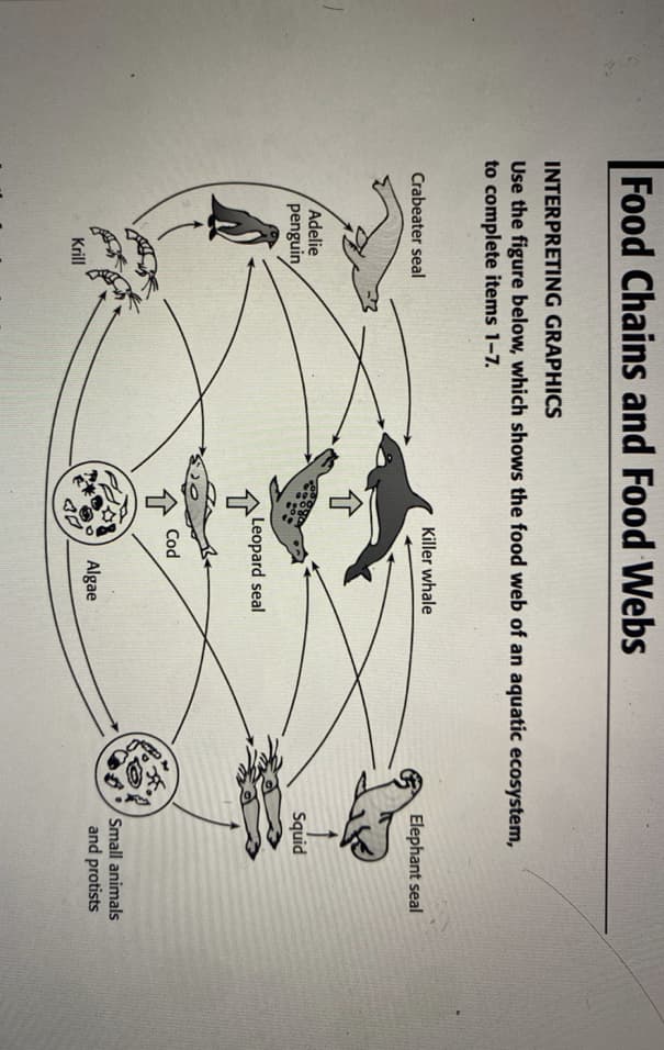 Food Chains and Food Webs
INTERPRETING GRAPHICS
Use the figure below, which shows the food web of an aquatic ecosystem,
to complete items 1-7.
Killer whale
Crabeater seal
Elephant seal
介
Adelie
penguin
Squid
Leopard seal
Cod
Small animals
and protists
Algae
Krill
