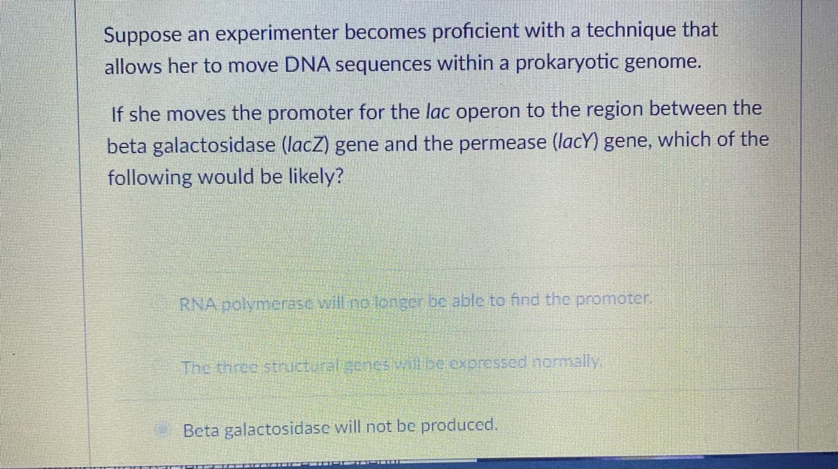 Suppose an experimenter becomes proficient with a technique that
allows her to move DNA sequences within a prokaryotic genome.
If she moves the promoter for the lac operon to the region between the
beta galactosidase (lacZ) gene and the permease (lacy) gene, which of the
following would be likely?
RNA polymerase will no longer be able to find the promoter.
The three structural genes will be expressed normally,
Beta galactosidase will not be produced.
ridicim