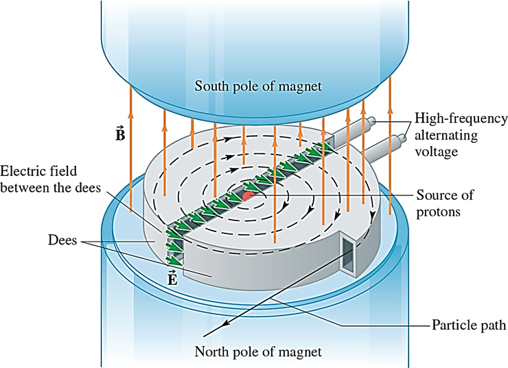 South pole of magnet
High-frequency
alternating
voltage
Electric field
between the dees
- Source of
protons
Dees
-Particle path
North pole of magnet
