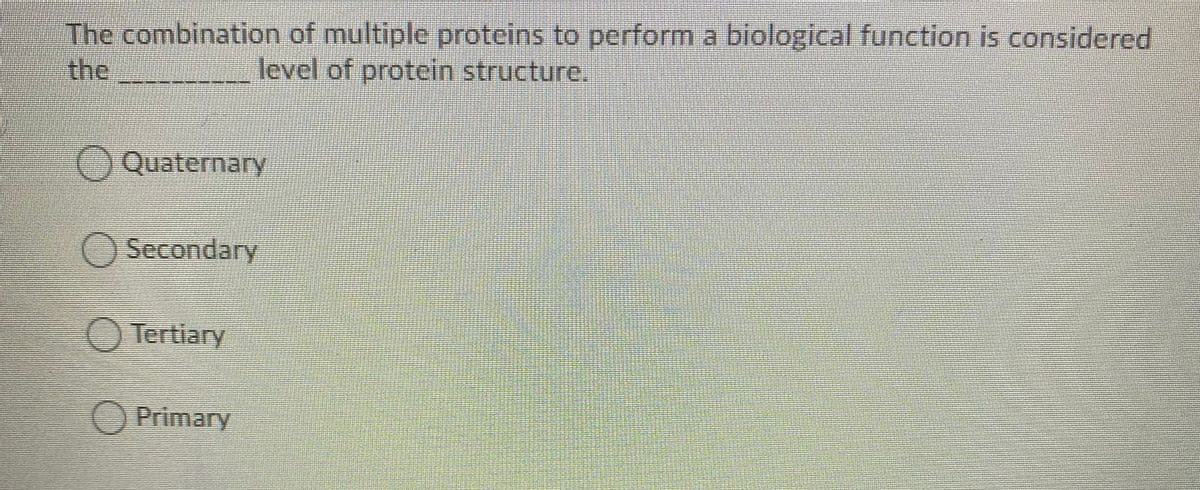 The combination of multiple proteins to perform a biological function is considered
the
level of protein structure.
OQuaternary
O Secondary
O Tertiary
O Primary
