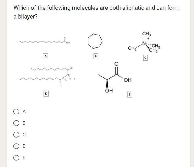 Which of the following molecules are both aliphatic and can form
a bilayer?
O A
OB
OE
A
D
B
OH
CH3
OH
CH3
NCH3
CH3
с