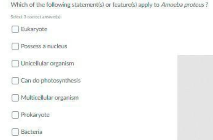 Which of the following statement(s) or feature(s) apply to Amoeba proteus?
Sclect 3 comect answaits
Eukaryote
Possess a nucleus
Unicellular organism
Can do photosynthesis
Multicellular organism
Prokaryote
Bacteria
