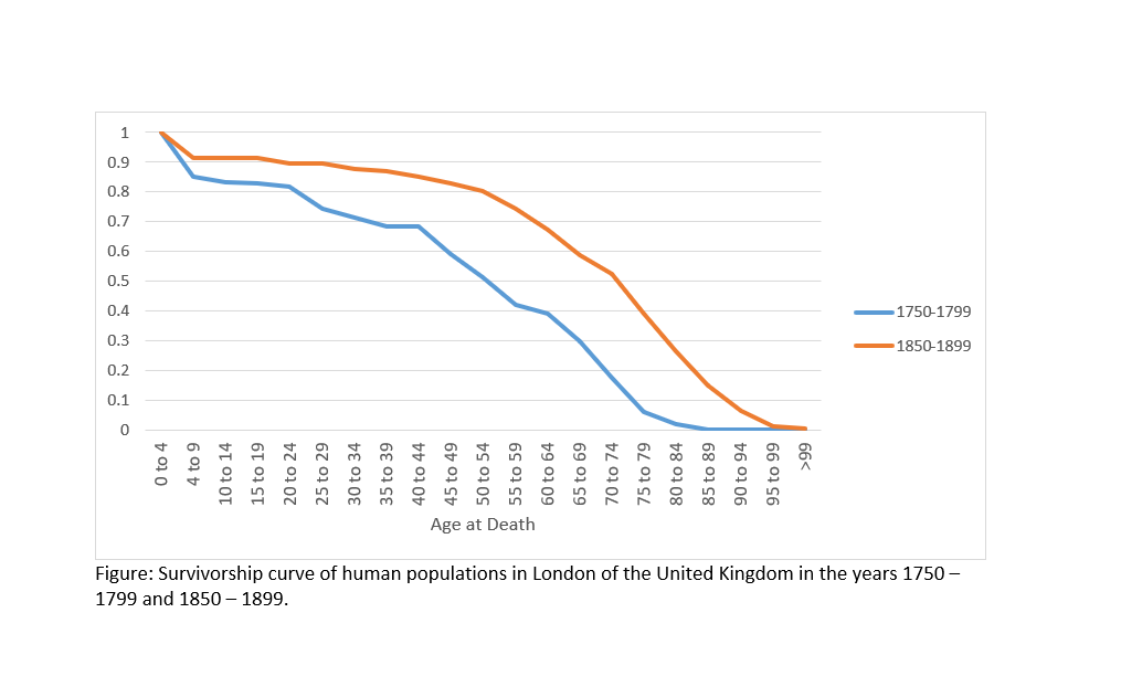1799 and 1850-1899.
Figure:
Survivorship curve of human populations in London of the United Kingdom in the years 1750-
Age at Death
0 to 4
4 to 9
10 to 14
15 to 19
20 to 24
25 to 29
30 to 34
35 to 39
40 to 44
45 to 49
50 to 54
55 to 59
60 to 64
65 to 69
70 to 74
75 to 79
80 to 84
85 to 89
90 to 94
95 to 99
>99
0
0.1
0.2
0.3
0.4
0.5
0.6
0.7
0.8
0.9
1
-1850-1899
-1750-1799