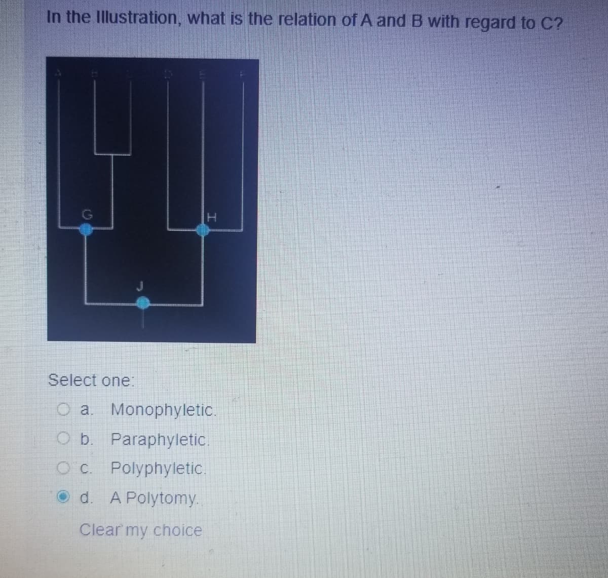 In the Illustration, what is the relation of A and B with regard to C?
Select one:
O a Monophyletic.
O b. Paraphyletic.
O C. Polyphyletic.
Od. A Polytomy.
Clear my choice
