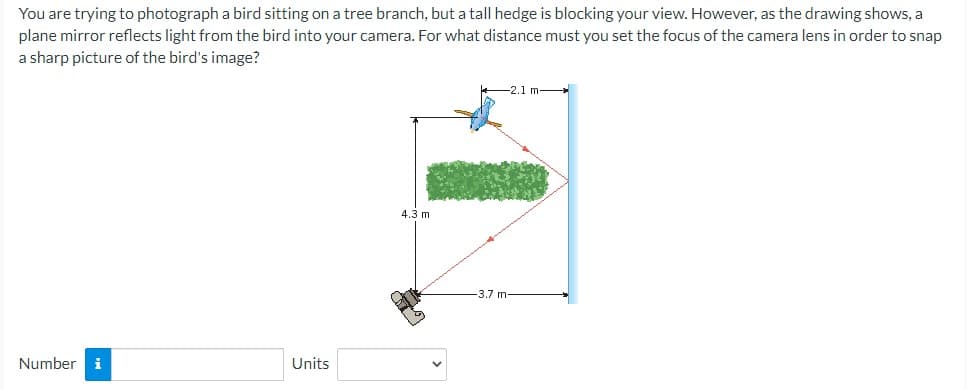 You are trying to photograph a bird sitting on a tree branch, but a tall hedge is blocking your view. However, as the drawing shows, a
plane mirror reflects light from the bird into your camera. For what distance must you set the focus of the camera lens in order to snap
a sharp picture of the bird's image?
Number i
Units
4.3 m
-2.1 mi
3.7 m-