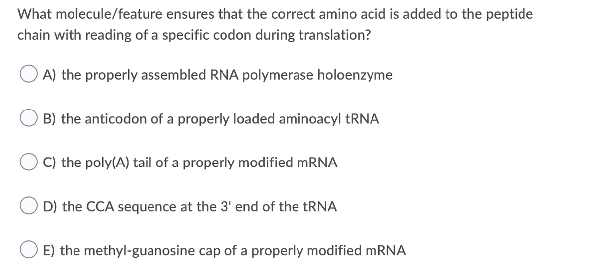 What molecule/feature ensures that the correct amino acid is added to the peptide
chain with reading of a specific codon during translation?
O A) the properly assembled RNA polymerase holoenzyme
B) the anticodon of a properly loaded aminoacyl TRNA
C) the poly(A) tail of a properly modified MRNA
D) the CCA sequence at the 3' end of the TRNA
O E) the methyl-guanosine cap of a properly modified MRNA
