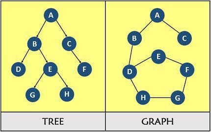 D
B
G
A
E
C
H
TREE
F
B
D
H
A
E
GRAPH
G
C
F