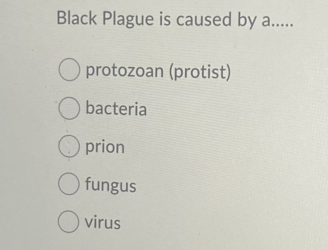 Black Plague is caused by a.....
O protozoan (protist)
Obacteria
prion
O fungus
O virus