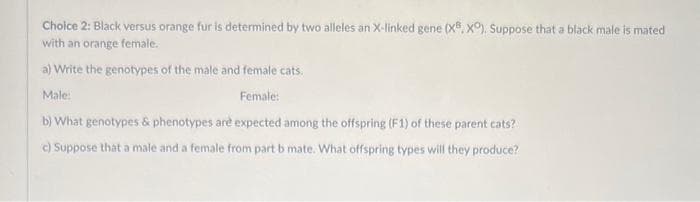 Choice 2: Black versus orange fur is determined by two alleles an X-linked gene (XⓇ, Xº), Suppose that a black male is mated
with an orange female.
a) Write the genotypes of the male and female cats.
Male:
Female:
b) What genotypes & phenotypes are expected among the offspring (F1) of these parent cats?
c) Suppose that a male and a female from part b mate. What offspring types will they produce?