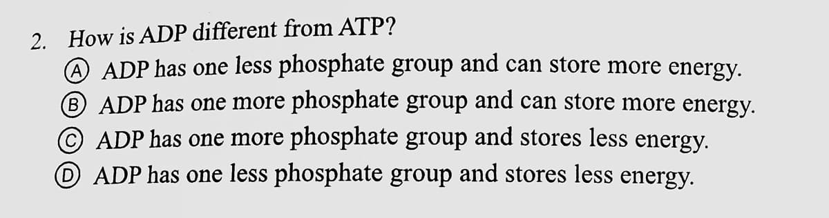 2. How is ADP different from ATP?
A ADP has one less phosphate group and can store more energy.
B ADP has one more phosphate group and can store more energy.
© ADP has one more phosphate group and stores less energy.
D ADP has one less phosphate group and stores less energy.
