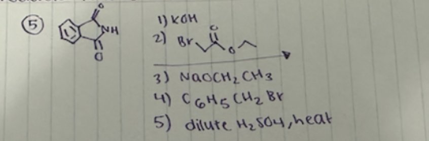 5
NH
1) КОН
2) Br
Brion
3) NaOCH₂ CH 3
4) C6H5 (H₂ Br
5) dilute H₂SO4, heat