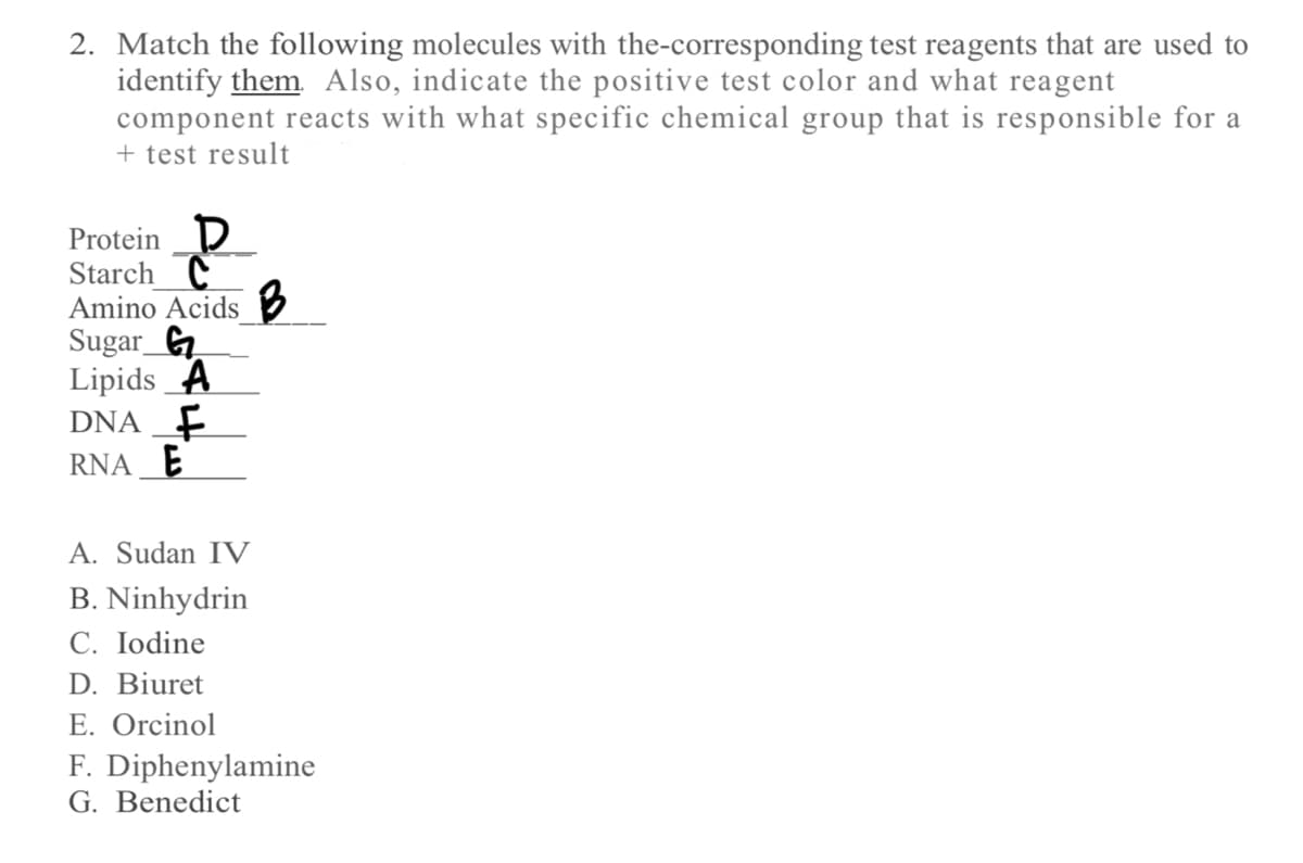 2. Match the following molecules with the-corresponding test reagents that are used to
identify them. Also, indicate the positive test color and what reagent
component reacts with what specific chemical group that is responsible for a
+ test result
Protein D
Starch C
Amino Acids B
Sugar G
Lipids A
DNA F
RNA E
A. Sudan IV
B. Ninhydrin
C. Iodine
D. Biuret
E. Orcinol
F. Diphenylamine
G. Benedict