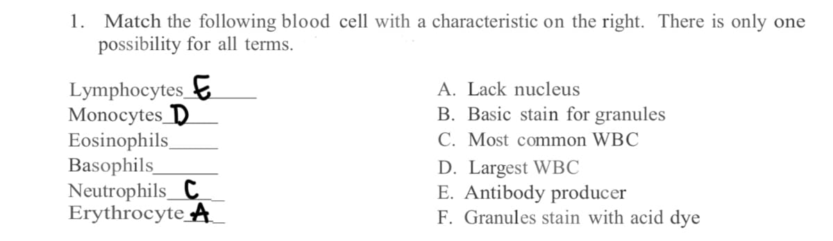 1. Match the following blood cell with a characteristic on the right. There is only one
possibility for all terms.
Lymphocytes E
Monocytes D
Eosinophils
Basophils
Neutrophils C
Erythrocyte A
A. Lack nucleus
B. Basic stain for granules
C. Most common WBC
D. Largest WBC
E. Antibody producer
F. Granules stain with acid dye