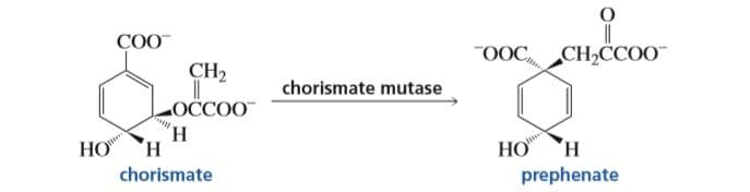 COO
OOC,
CH2CCOO
CH2
chorismate mutase
OCCOO
"н
н
НО
НО
н
chorismate
prephenate
