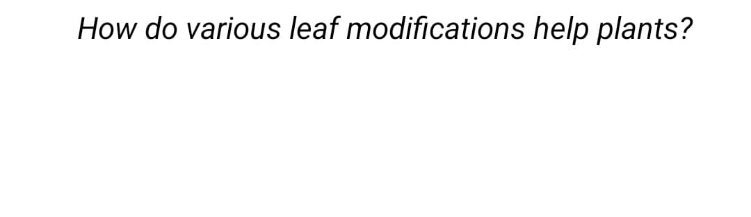 How do various leaf modifications help plants?
