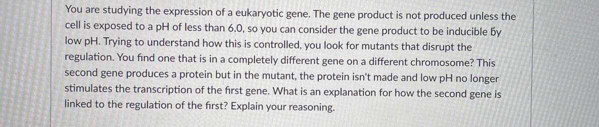 You are studying the expression of a eukaryotic gene. The gene product is not produced unless the
cell is exposed to a pH of less than 6.0, so you can consider the gene product to be inducible by
low pH. Trying to understand how this is controlled, you look for mutants that disrupt the
regulation. You find one that is in a completely different gene on a different chromosome? This
second gene produces a protein but in the mutant, the protein isn't made and low pH no longer
stimulates the transcription of the first gene. What is an explanation for how the second gene is
linked to the regulation of the first? Explain your reasoning.
