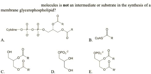 molecules is not an intermediate or substrate in the synthesis of a
membrane glycerophospholipid?
R
Cytidine-o
R
COAS
'R.
А.
OH
OPO,?
R.
он
R
'R'
он
R'
С.
D.
Е.
0=
O
B.
E.
