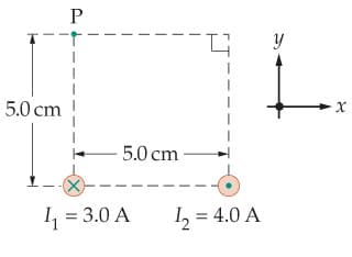 5.0 cm
P
-5.0 cm
1₁ = 3.0 A
1₂ = 4.0 A
y
x