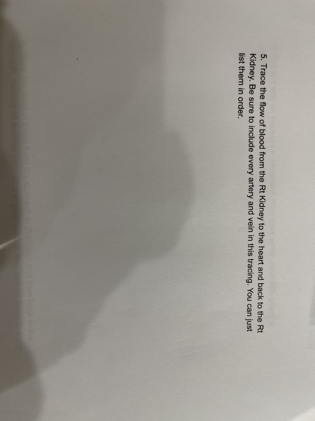 5. Trace the flow of blood from the Rt Kidney to the heart and back to the Rt
Kidney. Be sure to include every artery and vein in this tracing. You can just
list them in order.
11