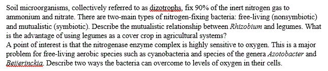 Soil microorganisms, collectively referred to as dizotrophs, fix 90% of the inert nitrogen gas to
ammonium and nitrate. There are two-main types of nitrogen-fixing bacteria: free-living (nonsymbiotic)
and mutualistic (symbiotic). Describe the mutualistic relationship between Rhizobium and legumes. What
is the advantage of using legumes as a cover crop in agricultural systems?
A point of interest is that the nitrogenase enzyme complex is highly sensitive to oxygen. This is a major
problem for free-living aerobic species such as cyanobacteria and species of the genera Azotobacter and
Beiigrinckia. Describe two ways the bacteria can overcome to levels of oxygen in their cells.
