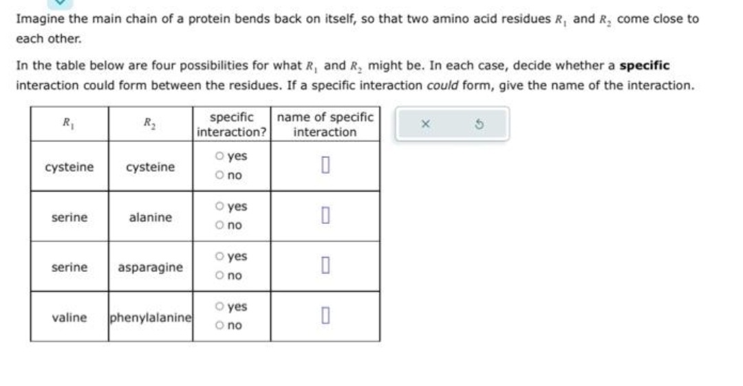 Imagine the main chain of a protein bends back on itself, so that two amino acid residues R, and R, come close to
each other.
In the table below are four possibilities for what R, and R, might be. In each case, decide whether a specific
interaction could form between the residues. If a specific interaction could form, give the name of the interaction.
R₁
cysteine
serine
serine
valine
R₂
cysteine
alanine
asparagine
phenylalanine
specific
interaction?
O yes
O no
O yes
O no
O yes
O no
O yes
O no
name of specific
interaction
0
0
0
0