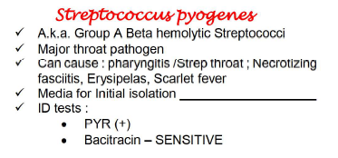 Streptococcus pyogenes
V A.k.a. Group A Beta hemolytic Streptococci
Major throat pathogen
v Can cause : pharyngitis /Strep throat ; Necrotizing
fasciitis, Erysipelas, Scarlet fever
Media for Initial isolation
v ID tests :
PYR (+)
Bacitracin – SENSITIVE
