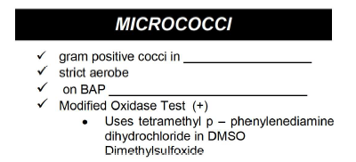 MICROCOCCI
gram positive cocci in
strict aerobe
on BAP
Modified Oxidase Test (+)
Uses tetramethylp – phenylenediamine
dihydrochloride in DMSO
Dimethylsulfoxide
