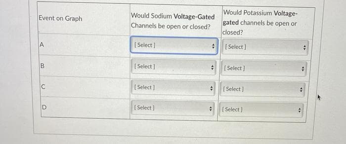 Event on Graph
A
B
C
D
Would Sodium Voltage-Gated
Channels be open or closed?
[Select]
[Select]
[Select]
[Select]
#
#
Would Potassium Voltage-
gated channels be open or
closed?
[Select]
[Select]
[Select]
[Select]
4
4