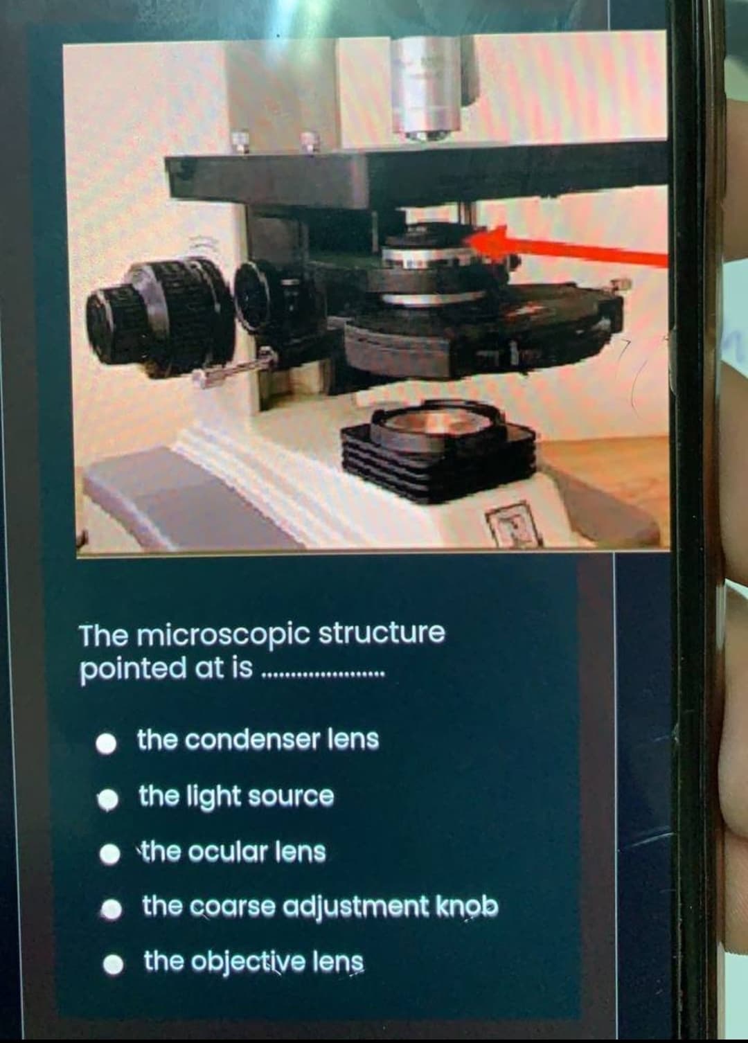 The microscopic structure
pointed at is .
the condenser lens
• the light source
• the ocular lens
• the coarse adjustment knob
• the objective lens
