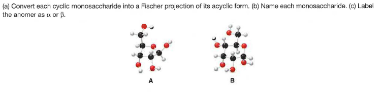 (a) Convert each cyclic monosaccharide into a Fischer projection of its acyclic form. (b) Name each monosaccharide. (c) Label
the anomer as a or ß.

