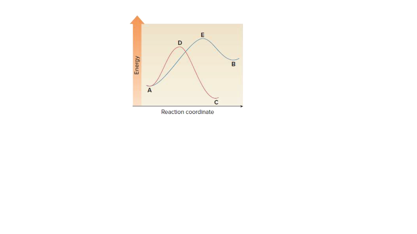 B
Reaction coordinate
Energy
