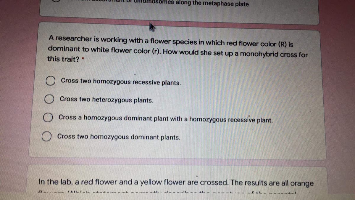 mosomes along the metaphase plate
A researcher is working with a flower species in which red flower color (R) is
dominant to white flower color (r). How would she set up a monohybrid cross for
this trait? *
Cross two homozygous recessive plants.
Cross two heterozygous plants.
Cross a homozygous dominant plant with a homozygous recessive plant.
O Cross two homozygous dominant plants.
In the lab, a red flower and a yellow flower are crossed. The results are all orange
IAFLL L
-AL.. -- - L.
