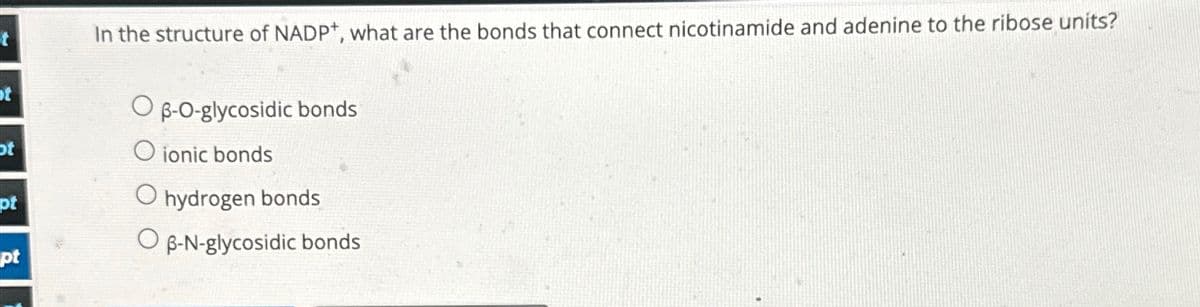t
ot
pt
pt
In the structure of NADP+, what are the bonds that connect nicotinamide and adenine to the ribose units?
Op-O-glycosidic bonds
O ionic bonds
O hydrogen bonds
OB-N-glycosidic bonds