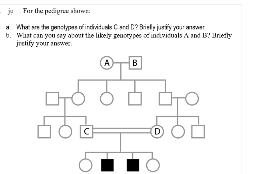 ju
For the pedigree shown:
a. What are the genotypes of individuals C and D? Briefly justify your answer
b. What can you say about the likely genotypes of individuals A and B? Briefly
justify your answer.
A
В
(D
