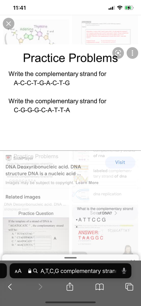 11:41
Thymine
Adenine
3 end
Practice Problems
Write the complementary strand for
A-C-C-T-G-A-C-T-G
Write the complementary strand for
C-G-G-G-C-A-T-T-A
of rna
SlidePlae Problems
Visit
DNA Deoxyribonucleic acid. DNA
labeled complemen-
structure DNA is a nucleic acid ...
mplementary strand
tary strand of dna
C-G-G-G-C
Images may be subject to copyright. Learn More
TT-A
dna replication
Related images
DNA Deoxyribonucleic acid. DNA .
slideplayer.com
What is the complementary strand
Seeof DNA? >
Practice Question
•ATTCCG
If the template of a strand of DNA is
5'AGATGCATC", the complementary strand
5CGGCATTA3
will be
A TCTACGTAG
B. CTACGTAGA
C AGATGCATC
D." AGACGTCTA
ANSWER:
TAAGGC
A
AA
AQ A,T,C,G complementary stran
