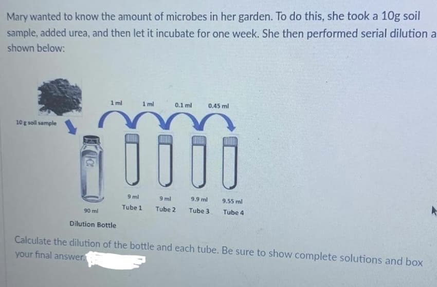 Mary wanted to know the amount of microbes in her garden. To do this, she took a 10g soil
sample, added urea, and then let it incubate for one week. She then performed serial dilution a
shown below:
10 g soil sample
To:
1ml
90 ml
Dilution Bottle
1 ml
9 ml
Tube 1
0.1 ml
0.45 ml
111
9.9 ml
Tube 3
9 ml
Tube 2
9.55 ml
Tube 4
Calculate the dilution of the bottle and each tube. Be sure to show complete solutions and box
your final answer.