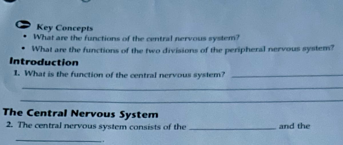 Key Concepts
• What are the functions of the central nervous system?
• What are the functions of the two divisions of the peripheral nervous system?
Introduction
1. What is the function of the central nervous system?
The Central Nervous System
2. The central nervous system consists of the
and the