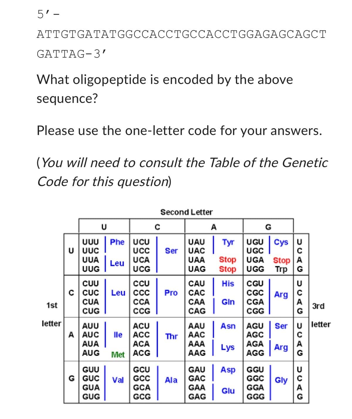 5'-
ATTGTGATATGGCCACCTGCCACCTGGAGAGCAGCT
GATTAG-3′
What oligopeptide is encoded by the above
sequence?
Please use the one-letter code for your answers.
(You will need to consult the Table of the Genetic
Code for this question)
1st
letter
UUU Phe UCU
U UUC
UUA
UUG
CUU
C CUC
CUA
CUG
U
Leu
GUA
GUG
CCU
Leu CCC
CCA
CCG
AUU
ACU
A AUC
ACC
AUA
ACA
AUG Met ACG
lle
UCC Ser
UCA
UCG
GUU
GCU
G GUC Val GCC
с
GCA
GCG
Second Letter
Pro
Thr
Ala
A
| Tyr
UAU
UAC
UAA Stop
UAG
Stop
CAU His
CAC
CAA Gin
CAG
AAU Asn
AAC
AAA
AAG
GAU
GAC
GAA
GAG
UGU
Cys U
UGC
UGA Stop A
UGG Trp G
AGU
AGC
AGA
Lys
AGG
| Asp
Glu
CGU
CGC Arg
CGA
CGG
Arg
UCAG ULAG SCAG
GGU
GGC Gly
GGA
GGG
с
Ser U letter
3rd
G