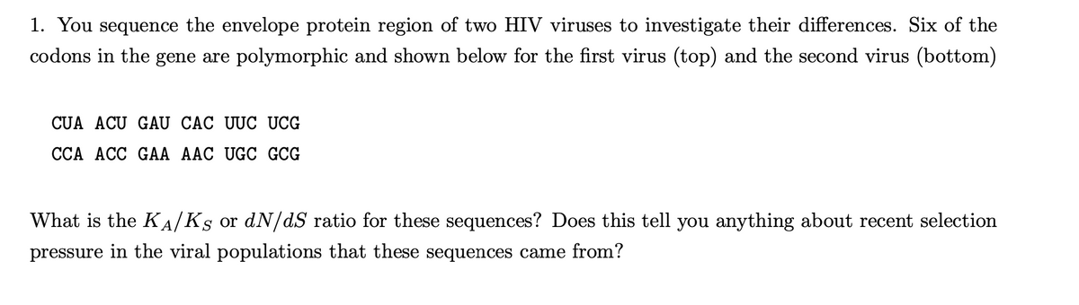 1. You sequence the envelope protein region of two HIV viruses to investigate their differences. Six of the
codons in the gene are polymorphic and shown below for the first virus (top) and the second virus (bottom)
CUA ACU GAU CÁC ƯUC UCG
ССА АСС GAА ААС UGC GCG
What is the KA/Ks or dN/dS ratio for these sequences? Does this tell you anything about recent selection
pressure in the viral populations that these sequences came from?
