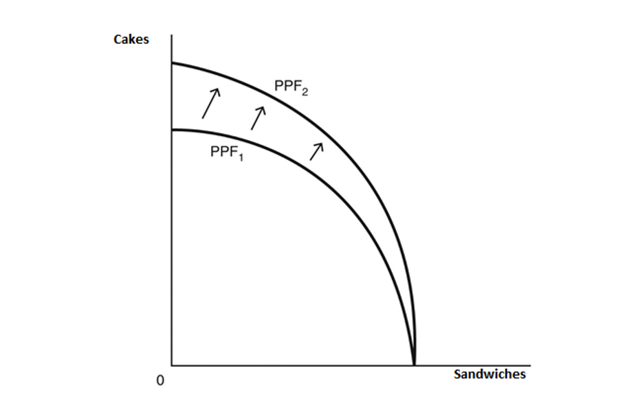 Cakes
0
↑
PPF₁
↑
PPF 2
个
Sandwiches