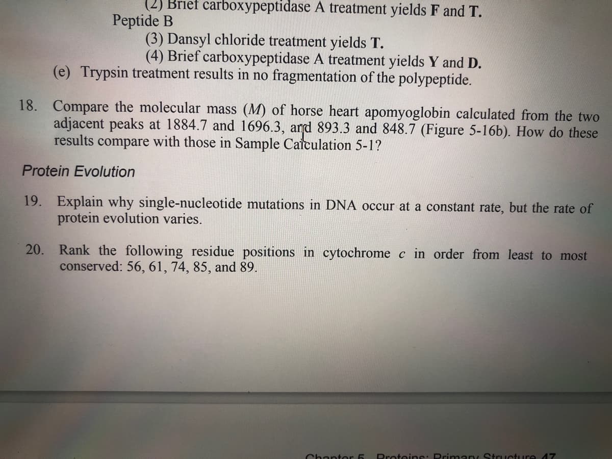 (2) Brief carboxypeptidase A treatment yields F and T.
Peptide B
(3) Dansyl chloride treatment yields T.
(4) Brief carboxypeptidase A treatment yields Y and D.
(e) Trypsin treatment results in no fragmentation of the polypeptide.
18. Compare the molecular mass (M) of horse heart apomyoglobin calculated from the two
adjacent peaks at 1884.7 and 1696.3, and 893.3 and 848.7 (Figure 5-16b). How do these
results compare with those in Sample Cafculation 5-1?
Protein Evolution
19. Explain why single-nucleotide mutations in DNA occur at a constant rate, but the rate of
protein evolution varies.
Rank the following residue positions in cytochrome c in order from least to most
conserved: 56, 61, 74, 85, and 89.
20.
Chanter 5 Proteins: Prinmary Structure 47
