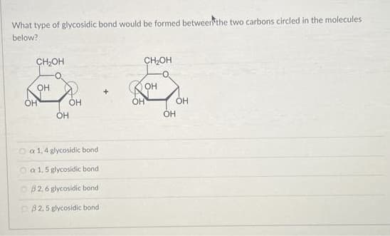 What type of glycosidic bond would be formed between the two carbons circled in the molecules
below?
CH₂OH
OH
OH
OH
OH
a 1,4 glycosidic bond
a 1, 5 glycosidic bond
0 B 2.6 glycosidic bond
B2.5 glycosidic bond
+
CH₂OH
OH
OH
OH
OH